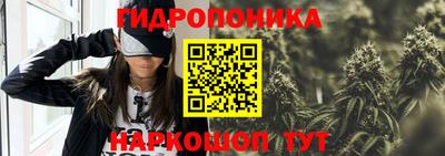прущие грибы Лесосибирск